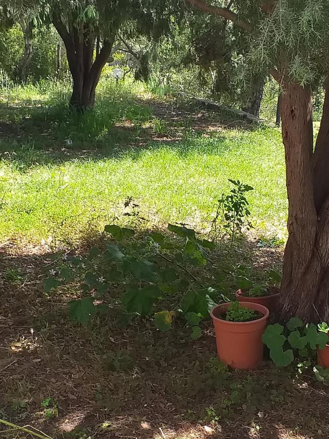 B&B Daillu Olbia Eksteriør billede