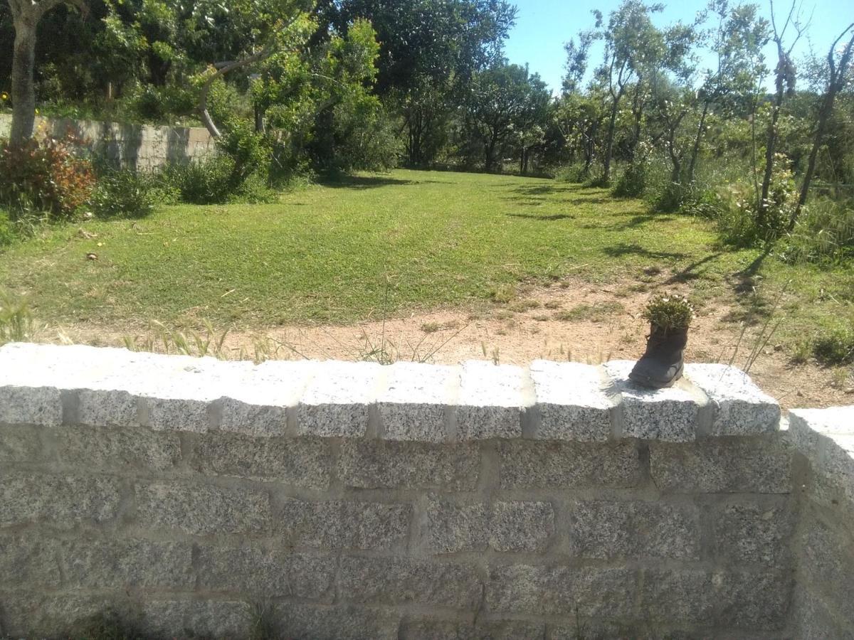 B&B Daillu Olbia Eksteriør billede