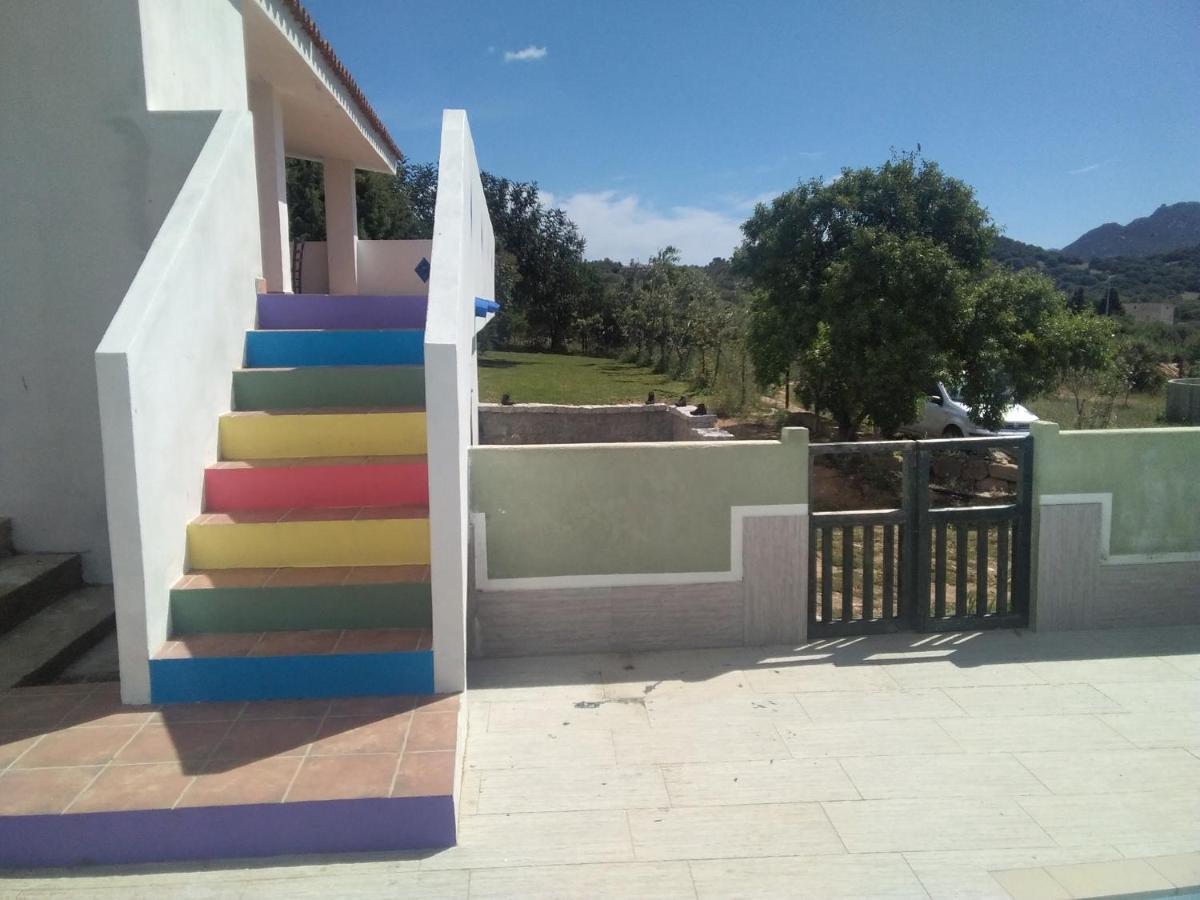 B&B Daillu Olbia Eksteriør billede